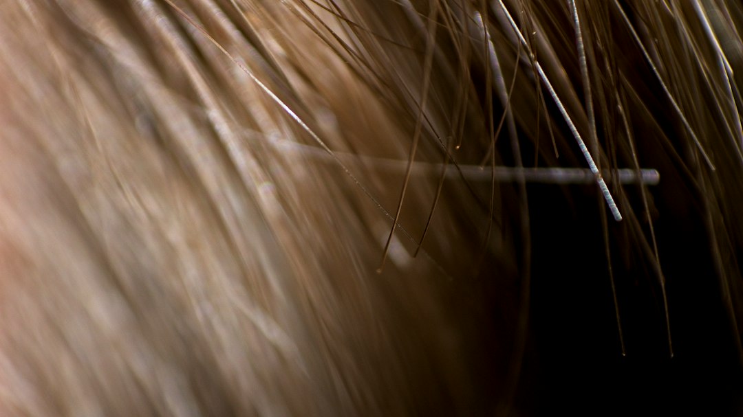 Why Does Hair Become Thin and Brittle With Age (Science Explained)